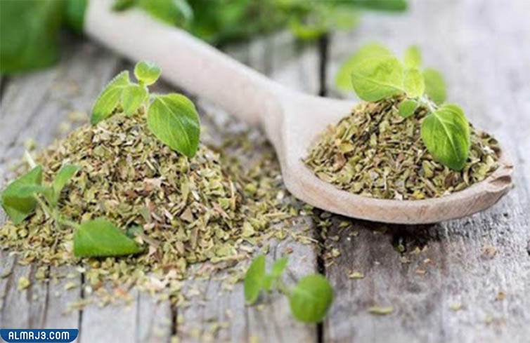 فوائد البردقوش