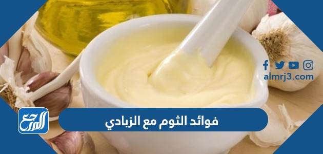 فوائد الثوم مع الزبادي