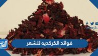 فوائد الكركديه للشعر واهم وصفاته