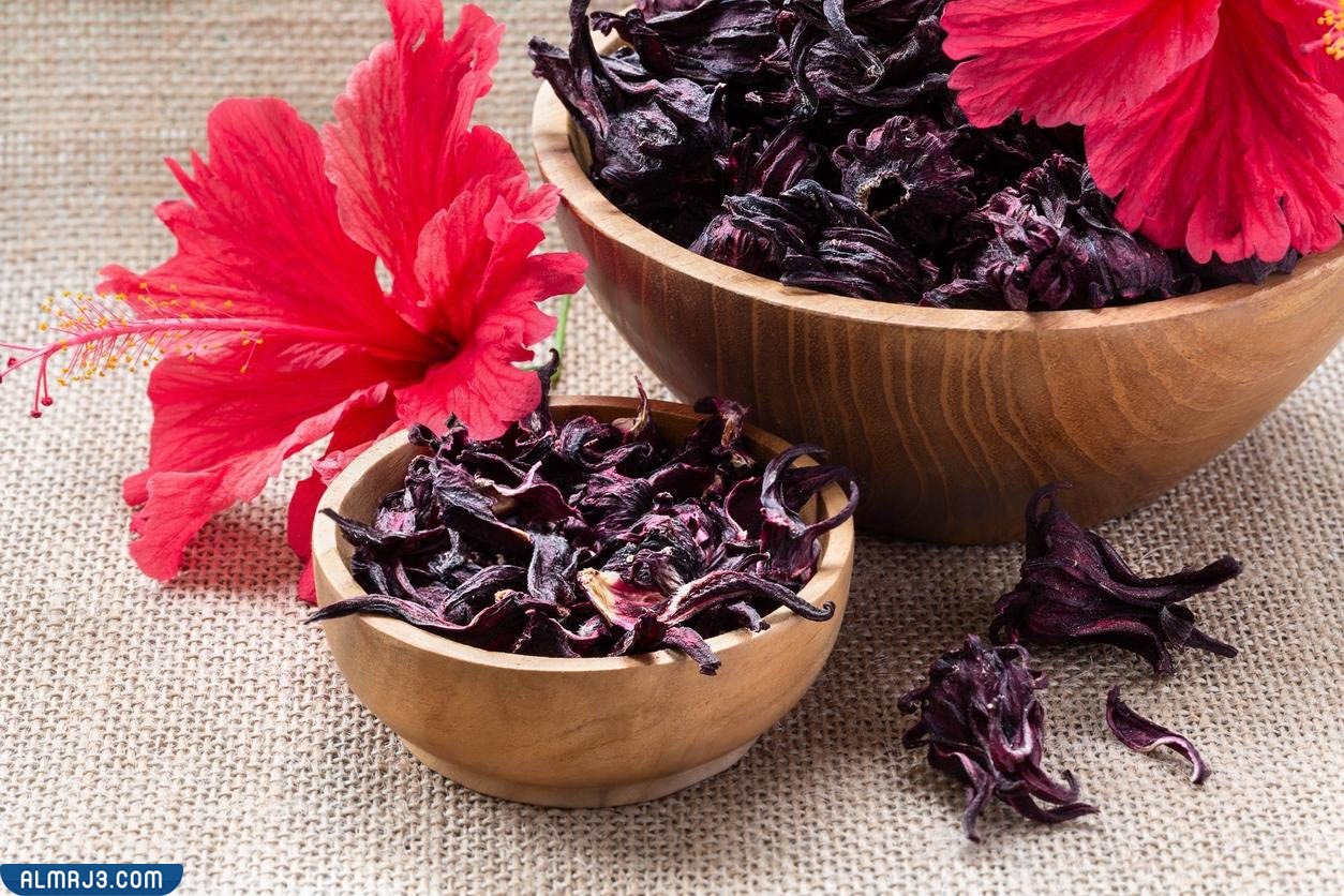 فوائد الكركديه للشعر