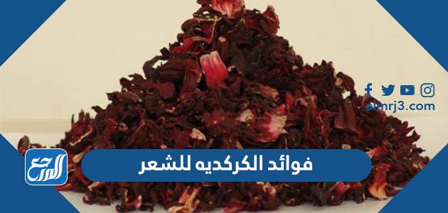 فوائد الكركديه للشعر