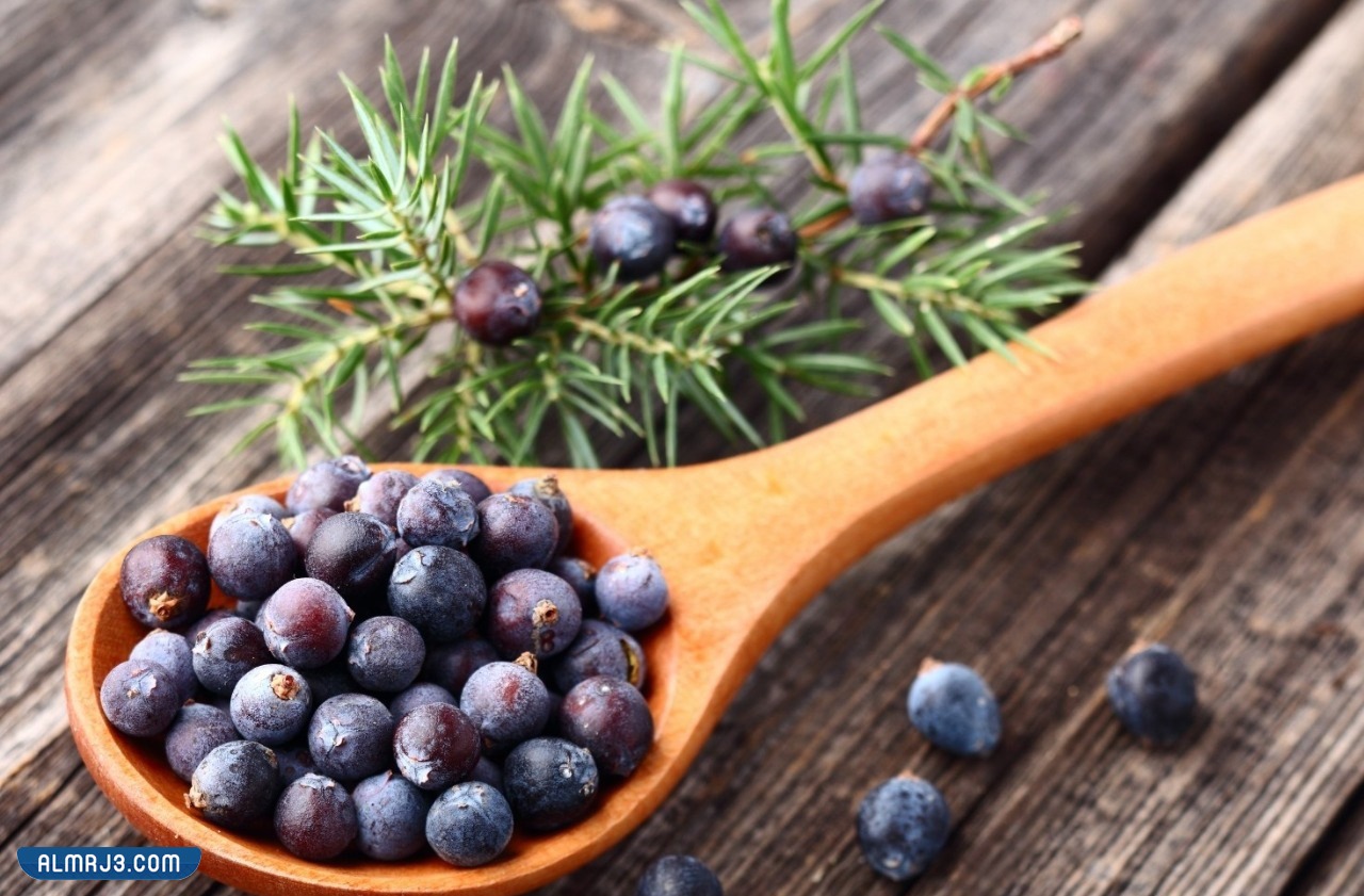 فوائد صحية لنبات العرر
