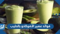 فوائد عصير الأفوكادو بالحليب