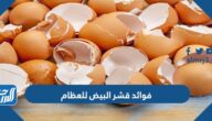 فوائد قشر البيض للعظام