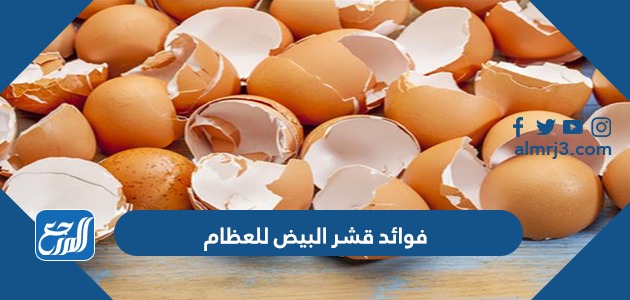 فوائد قشر البيض للعظام
