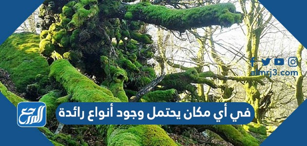 في اي مكان يحتمل وجود انواع رائدة