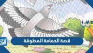 قصة الحمامة المطوقة