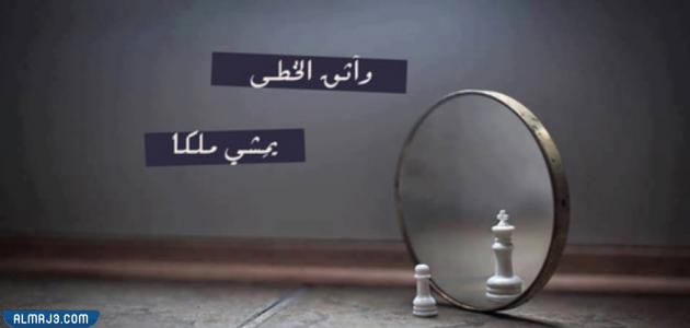 كلام عن الثقة 