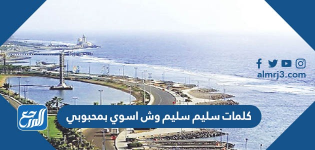 كلمات سليم سليم وش اسوي بمحبوبي