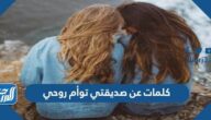 كلمات عن صديقتي توأم روحي