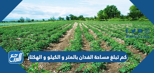 كم تبلغ مساحة الفدان بالمتر و الكيلو و الهكتار