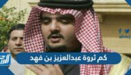 كم ثروة عبدالعزيز بن فهد