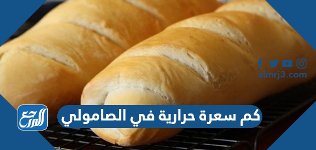 كم سعرة حرارية في الصامولي