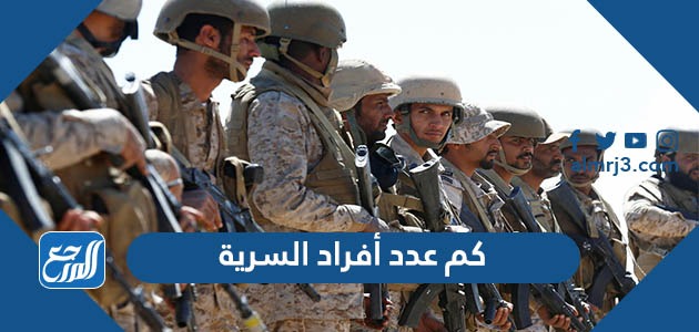 كم عدد أفراد السرية