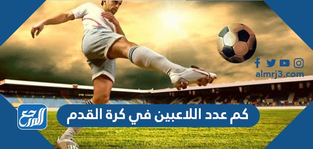 كم عدد اللاعبين في كرة القدم