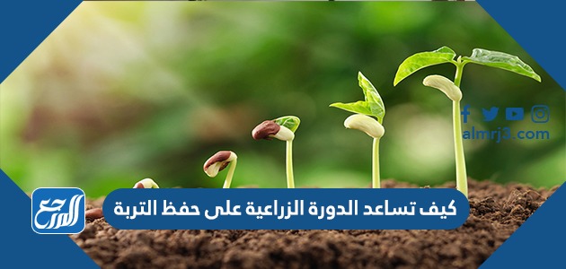 كيف تساعد الدورة الزراعية على حفظ التربة