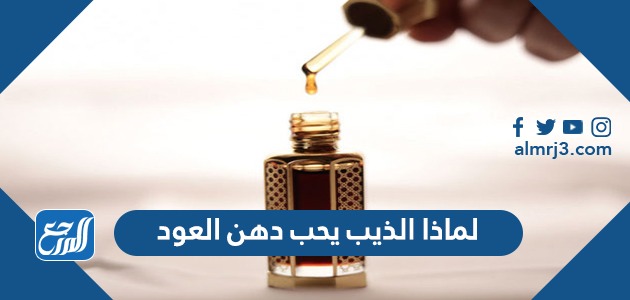 لماذا الذيب يحب دهن العود