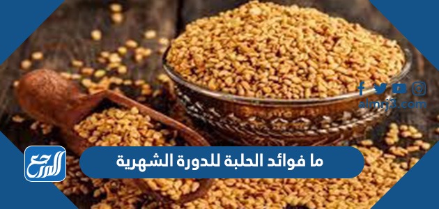 ما فوائد الحلبة للدورة الشهرية