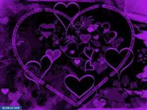 ما معنى القلب البنفسجي