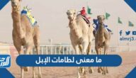 ما معنى لطامات الإبل