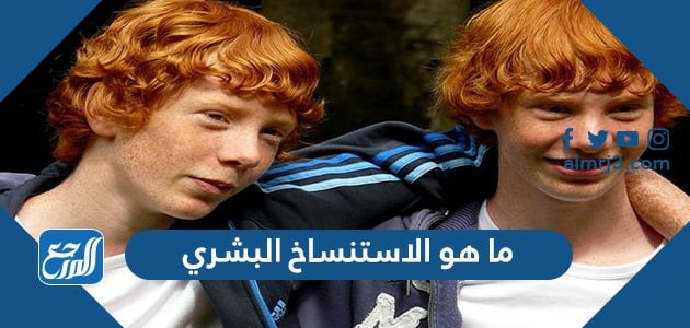 ما هو الاستنساخ البشري