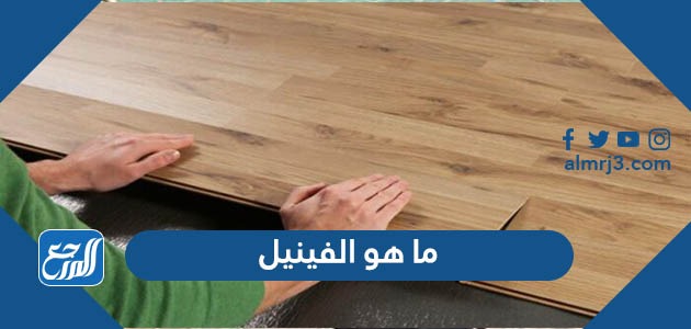 ما هو الفينيل
