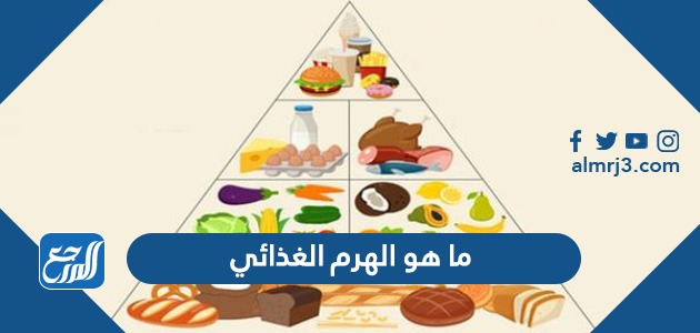 ما هو الهرم الغذائي