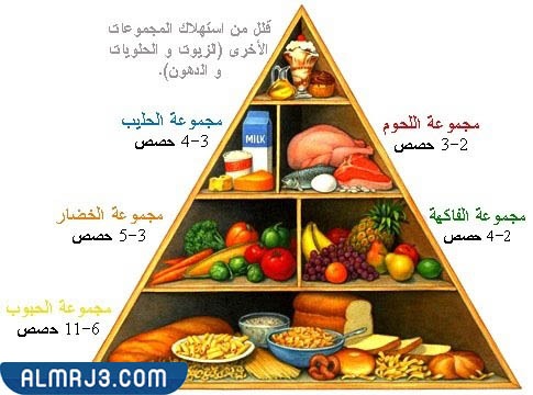 ما هو الهرم الغذائي