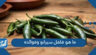 ما هو فلفل سيرانو وفوائده