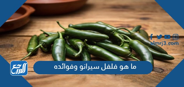 ما هو فلفل سيرانو وفوائده