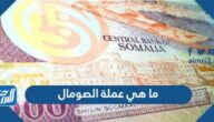 ما هي عملة الصومال