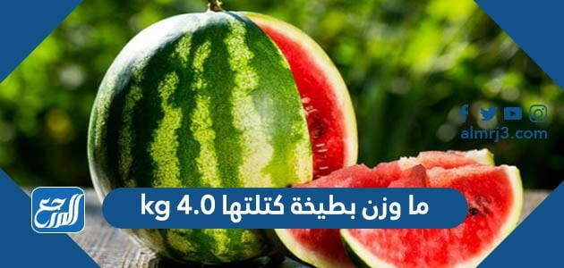 ما وزن بطيخة كتلتها 4.0 kg