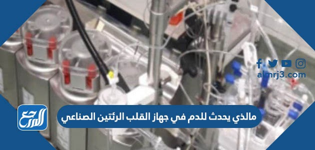 مالذي يحدث للدم في جهاز القلب الرئتين الصناعي