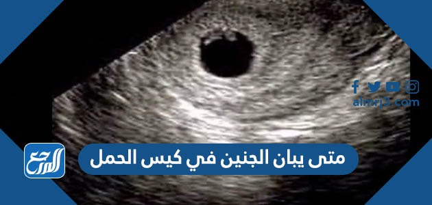 متى يبان الجنين في كيس الحمل