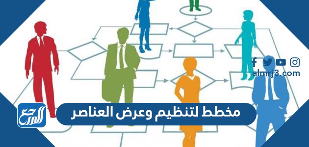 مخطط لتنظيم وعرض العناصر