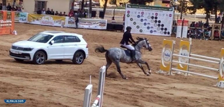 مركز الفروسية في مدينة ينبع