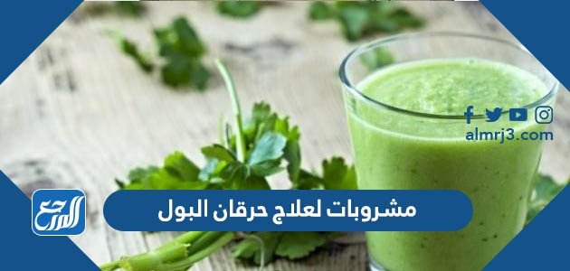 مشروبات لعلاج حرقان البول