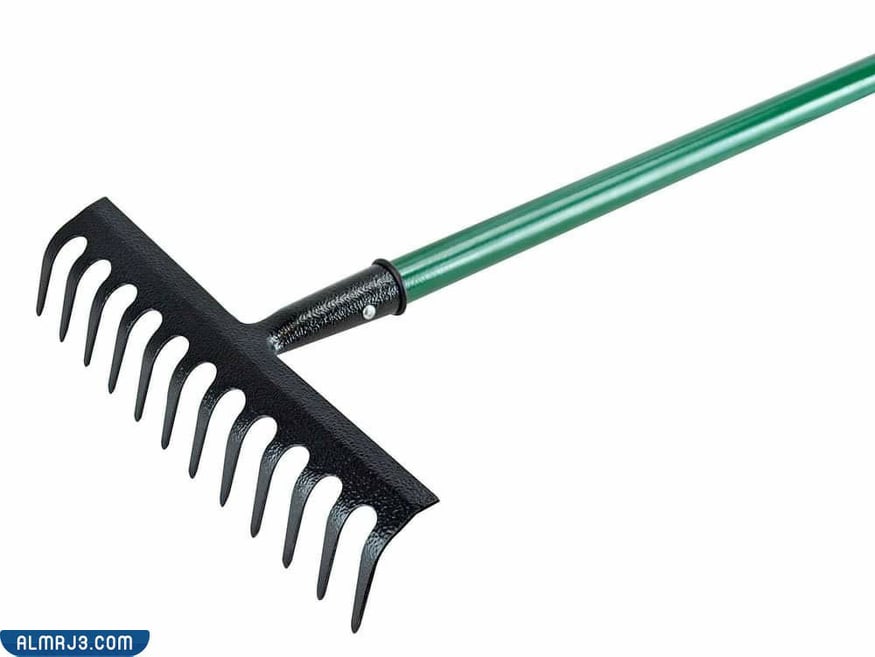 مشط الحديقة