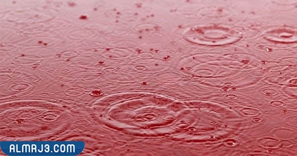 افضل الظواهر الطبيعية المثيرة