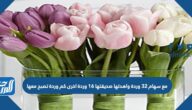 مع سهام ٣٢ وردة واهدتها صديقتها ١٦ وردة اخرى كم وردة تصبح معها