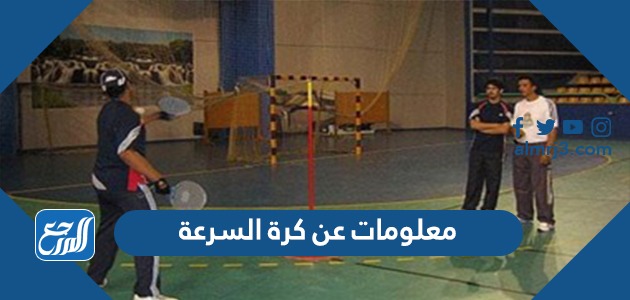 معلومات عن كرة السرعة