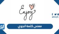 ما معنى كلمة انجوي بالعربي