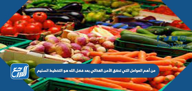 من أهم العوامل التي تحقق الأمن الغذائي بعد فضل الله هو التخطيط السليم