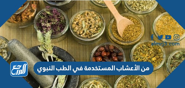 من الأعشاب المستخدمة في الطب النبوي