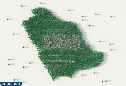 من هم السعوديين الأصليين