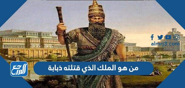 من هو الملك الذي قتلته ذبابة