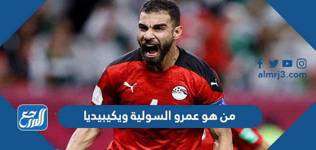 من هو عمرو السولية ويكيبيديا