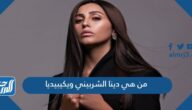 من هي دينا الشربيني ويكيبيديا
