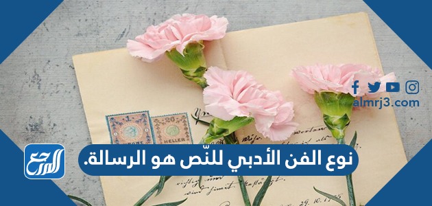 نوع الفن الأدبي للنّص هو الرسالة.