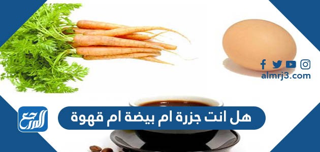 هل انت جزرة ام بيضة ام قهوة